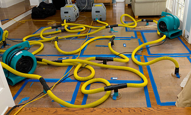 Professional Basement Flood Cleanup technician working in Yantic, CT
